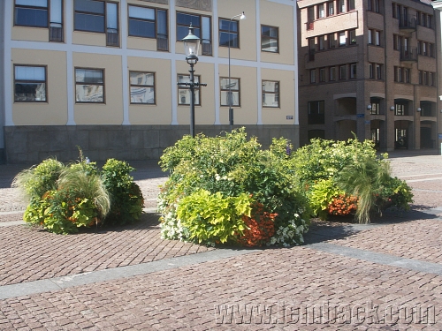 Gustav Adolfs torg plant pots